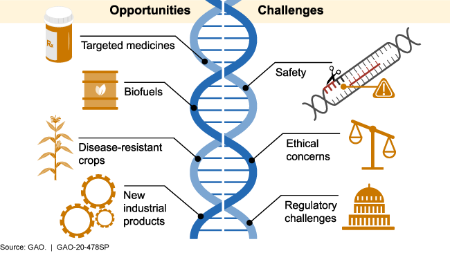 CRISPR is a technology that allows scientists to edit genes in living cells. Moreover, it has the potential to be used to treat genetic disorders and other diseases.