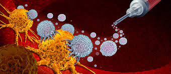 Immunotherapy is a type of cancer treatment that involves using the body's own immune system to fight cancer.