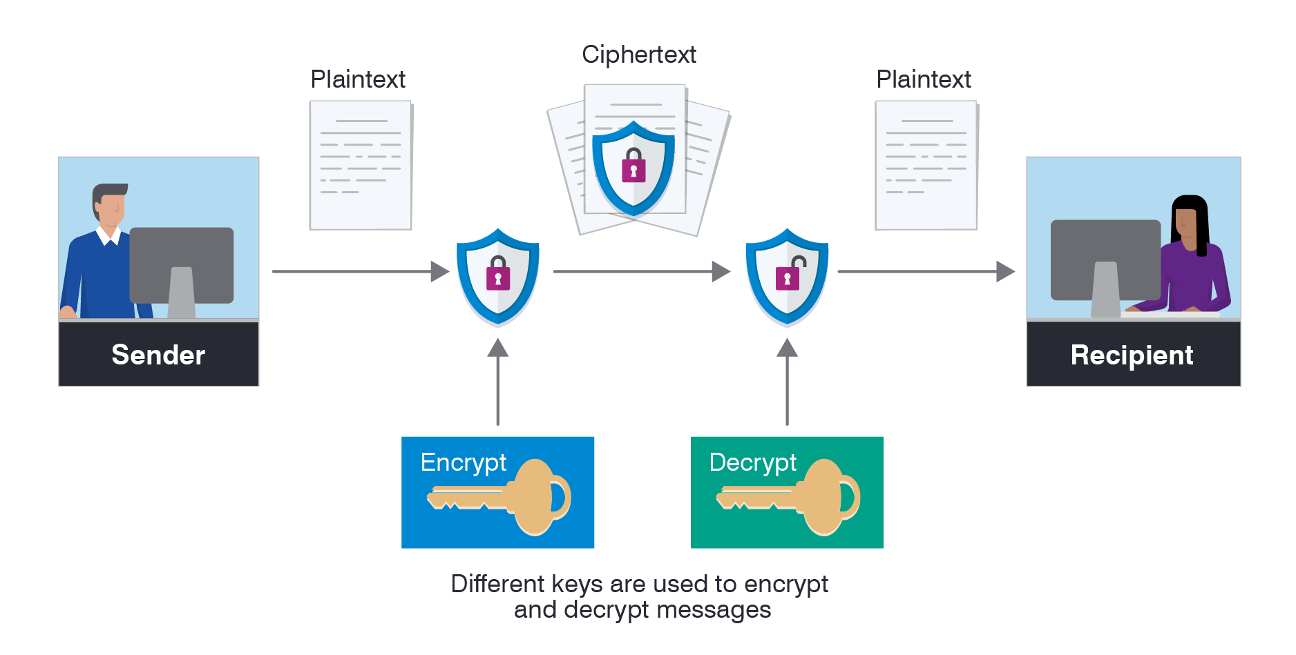 Data Encryption in Financial Services