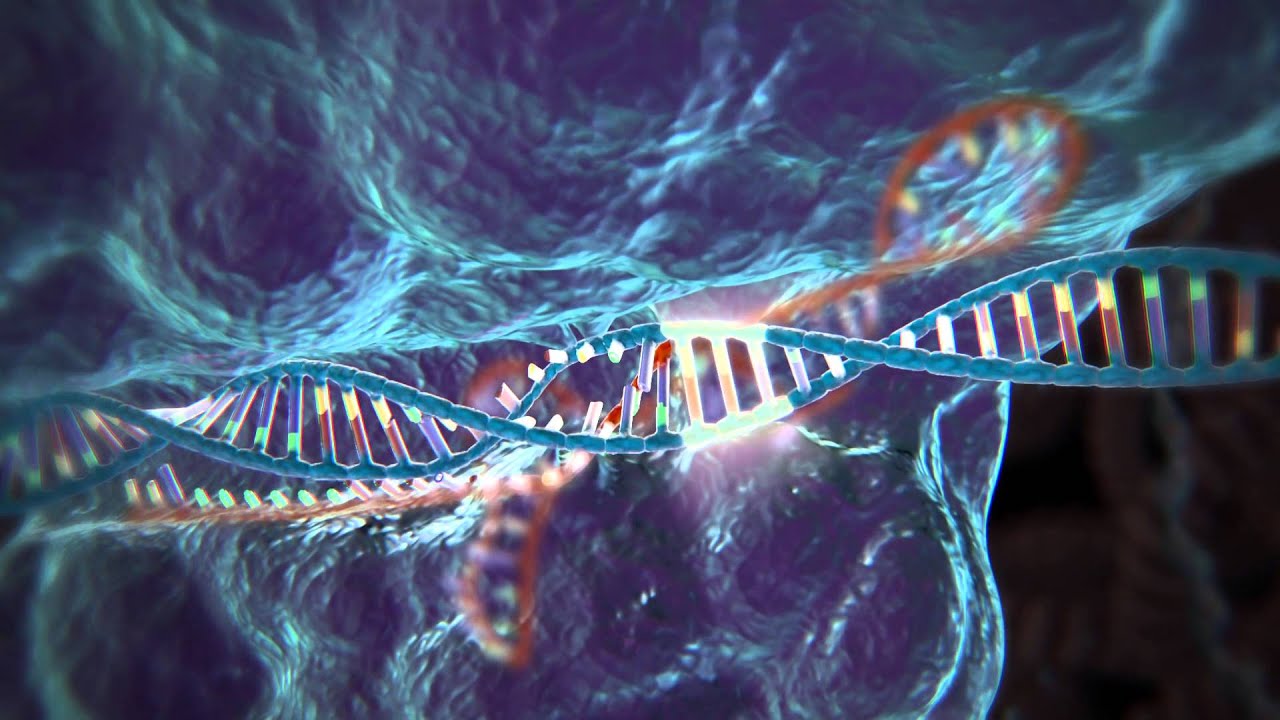 Gene Editing Technology