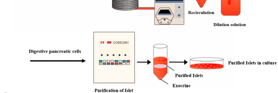 Injectable powder